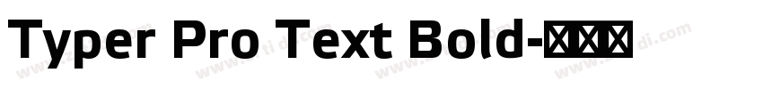 Typer Pro Text Bold字体转换